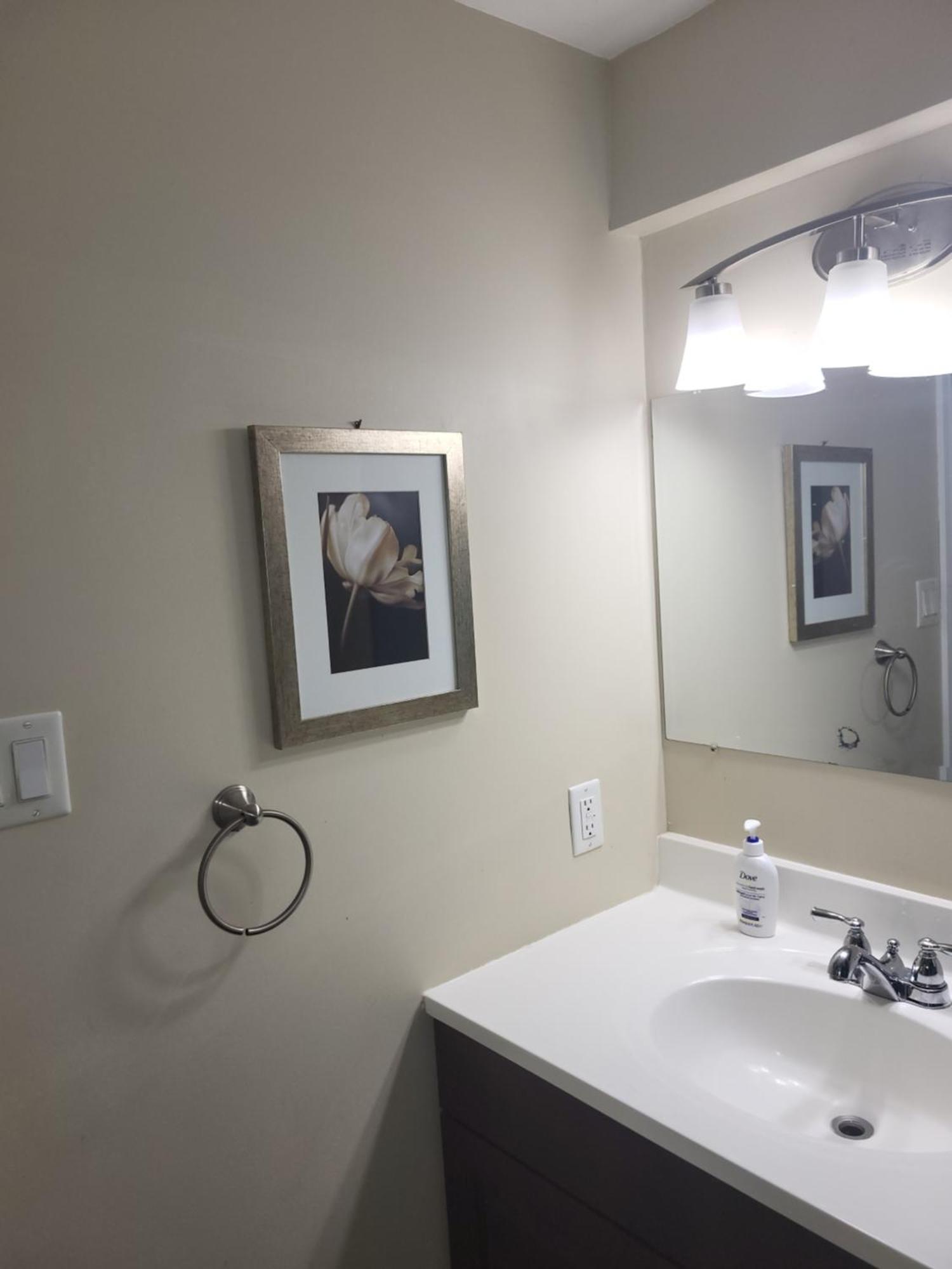 Lovely Guest Entire Apartment Minutes From Ottawa Airport Exteriör bild